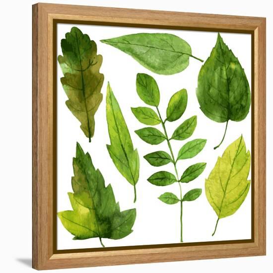 Set of Green Leaves Drawing by Watercolor, Hand Drawn Vector Elements-cat_arch_angel-Framed Stretched Canvas