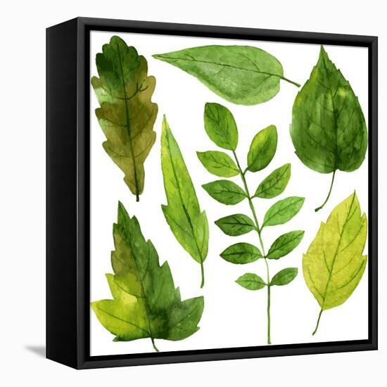 Set of Green Leaves Drawing by Watercolor, Hand Drawn Vector Elements-cat_arch_angel-Framed Stretched Canvas