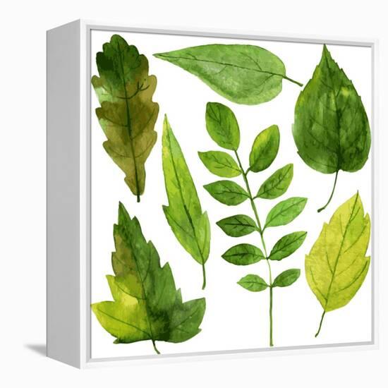 Set of Green Leaves Drawing by Watercolor, Hand Drawn Vector Elements-cat_arch_angel-Framed Stretched Canvas