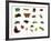 Set of Insects on White-Ale-ks-Framed Photographic Print