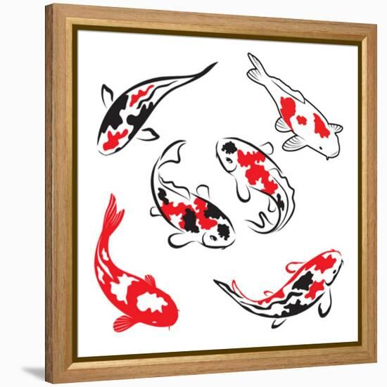 Set Of Koi Fish Illustration-Pixelcraft-Framed Stretched Canvas