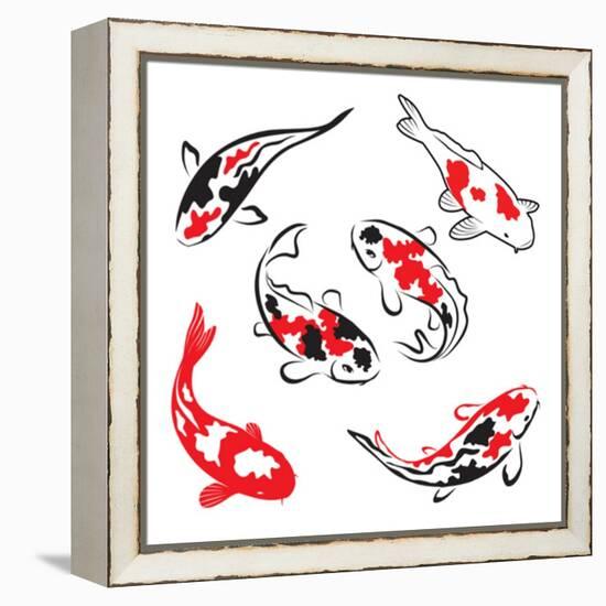 Set Of Koi Fish Illustration-Pixelcraft-Framed Stretched Canvas