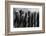 Set of steel drill bits for drill press-Panoramic Images-Framed Photographic Print