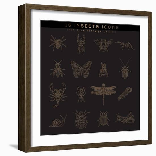 Set of Vintage Thin Line Insects Icons. Retro Vector Design Labels, Badges, Graphic Element, Emblem-karnoff-Framed Art Print