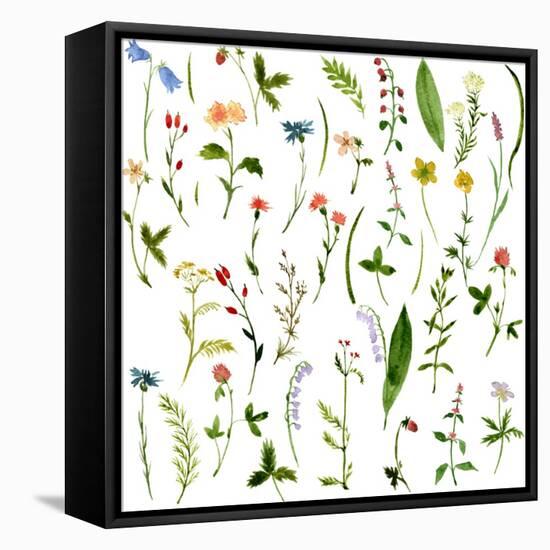 Set of Watercolor Drawing Herbs and Flowers-cat_arch_angel-Framed Stretched Canvas