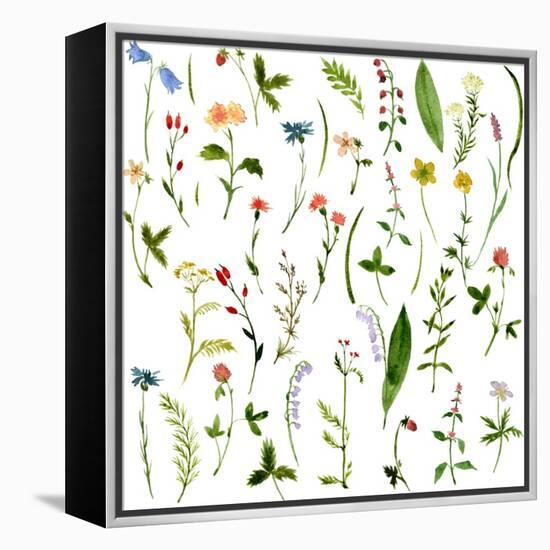 Set of Watercolor Drawing Herbs and Flowers-cat_arch_angel-Framed Stretched Canvas