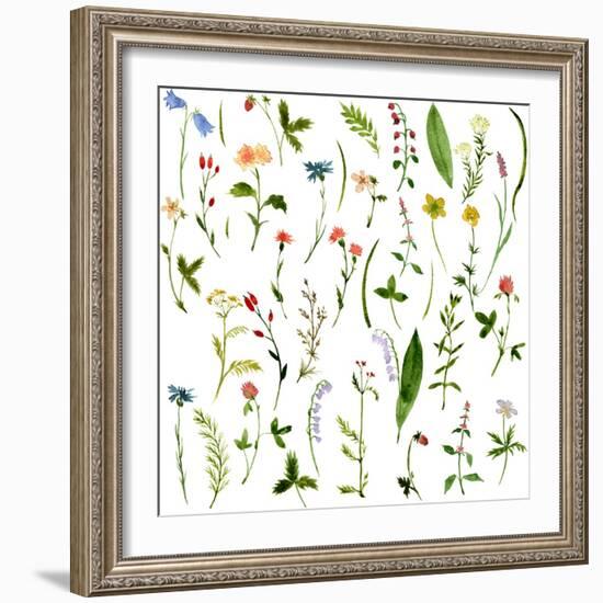 Set of Watercolor Drawing Herbs and Flowers-cat_arch_angel-Framed Art Print