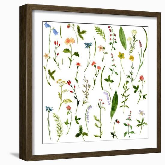 Set of Watercolor Drawing Herbs and Flowers-cat_arch_angel-Framed Art Print