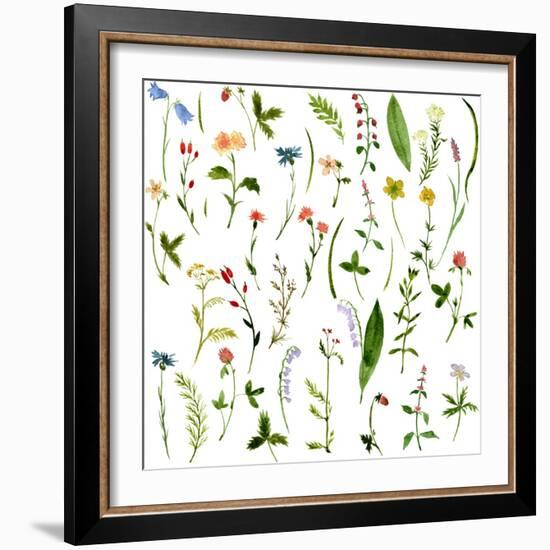Set of Watercolor Drawing Herbs and Flowers-cat_arch_angel-Framed Art Print