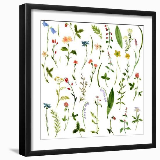 Set of Watercolor Drawing Herbs and Flowers-cat_arch_angel-Framed Art Print