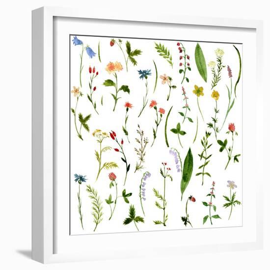 Set of Watercolor Drawing Herbs and Flowers-cat_arch_angel-Framed Art Print