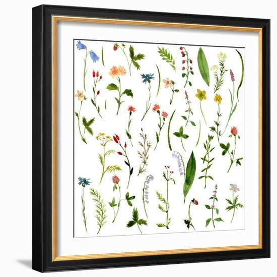 Set of Watercolor Drawing Herbs and Flowers-cat_arch_angel-Framed Art Print