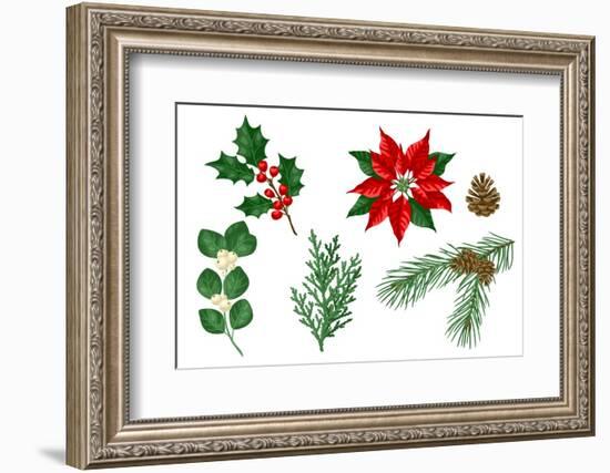 Set of Winter Plants. Merry Christmas and Happy New Year Decoration. Holiday Design.-incomible-Framed Photographic Print