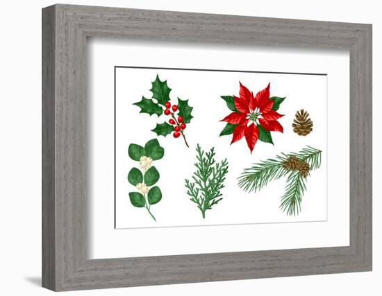 Set of Winter Plants. Merry Christmas and Happy New Year Decoration. Holiday Design.-incomible-Framed Photographic Print