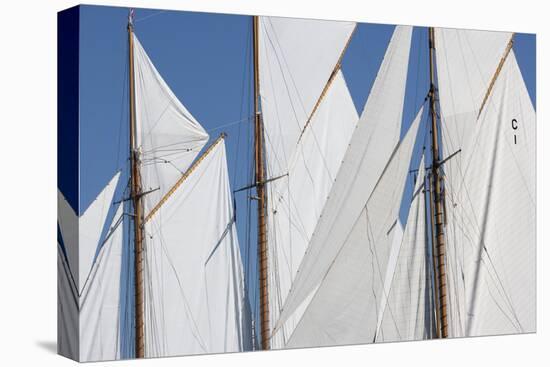 Set Sail-Ben Wood-Framed Stretched Canvas