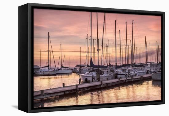 Set to Sail-Danny Head-Framed Premier Image Canvas