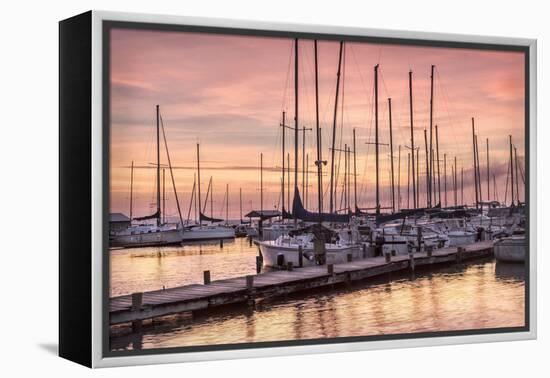 Set to Sail-Danny Head-Framed Premier Image Canvas