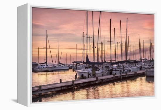 Set to Sail-Danny Head-Framed Premier Image Canvas