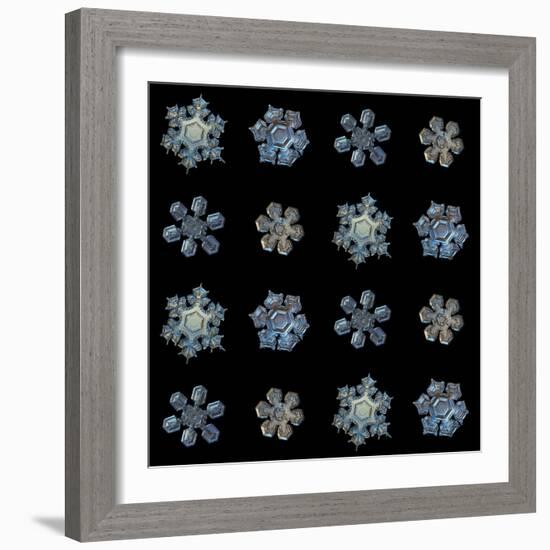 Set with Snowflakes Isolated on Black Background. this is Macro Photos of Real Snow Crystals: Mediu-Alexey Kljatov-Framed Photographic Print