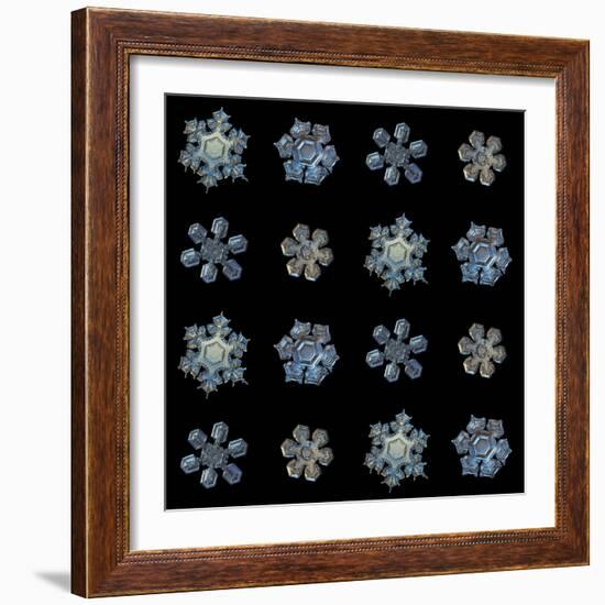 Set with Snowflakes Isolated on Black Background. this is Macro Photos of Real Snow Crystals: Mediu-Alexey Kljatov-Framed Photographic Print