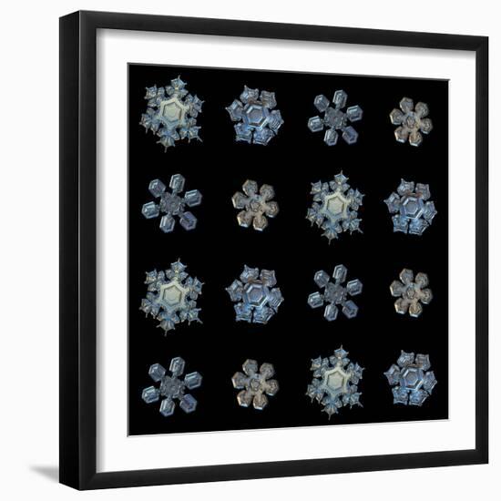 Set with Snowflakes Isolated on Black Background. this is Macro Photos of Real Snow Crystals: Mediu-Alexey Kljatov-Framed Photographic Print