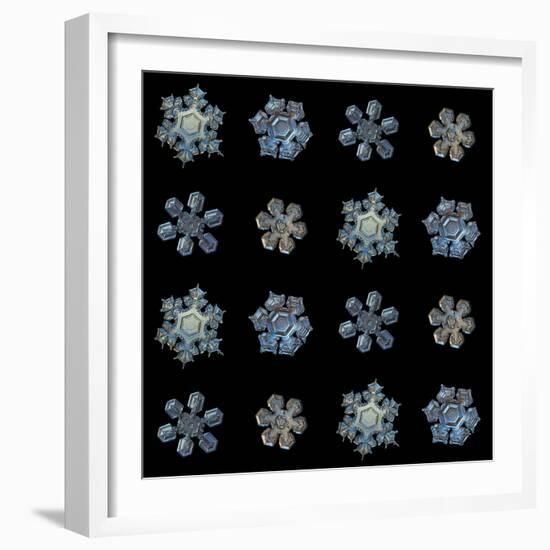 Set with Snowflakes Isolated on Black Background. this is Macro Photos of Real Snow Crystals: Mediu-Alexey Kljatov-Framed Photographic Print