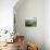 Sete Citades Lake, Sao Miguel Island, Azores, Portugal, Europe-De Mann Jean-Pierre-Photographic Print displayed on a wall