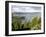 Sete Citades Lake, Sao Miguel Island, Azores, Portugal, Europe-De Mann Jean-Pierre-Framed Photographic Print