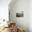 Sete Citades Lake, Sao Miguel Island, Azores, Portugal, Europe-De Mann Jean-Pierre-Mounted Photographic Print displayed on a wall