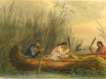 Gathering Wild Rice, 1853-Seth Eastman-Giclee Print