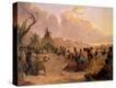 Stretched Canvas Print