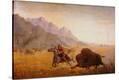 Stretched Canvas Print