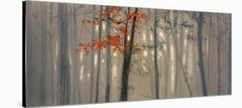 Fall Foliage-Seth Garrett-Framed Art Print