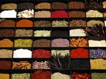 A Display of Spices Lends Color to a Section of Fancy Food Show, July 11, 2006, in New York City-Seth Wenig-Mounted Photographic Print