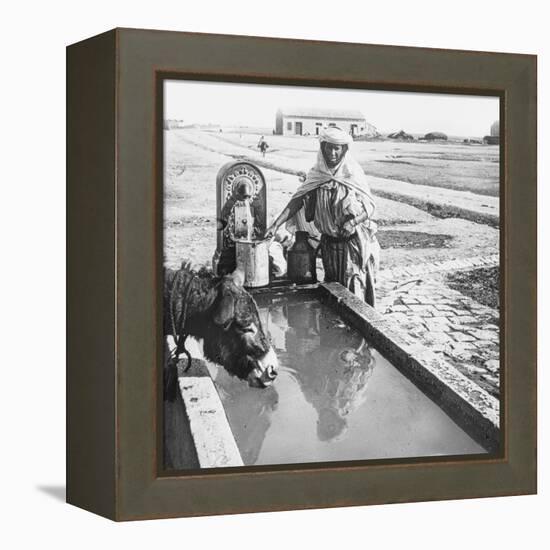 Sétif. Une fontaine-null-Framed Premier Image Canvas