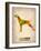 Setter Pointer Poster-NaxArt-Framed Art Print