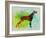 Setter Pointer Watercolor-NaxArt-Framed Art Print