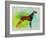 Setter Pointer Watercolor-NaxArt-Framed Art Print