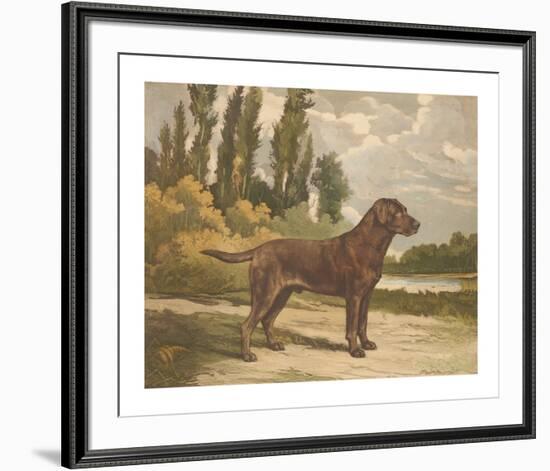 Setter Stance-Reuben Ward Binks-Framed Premium Giclee Print