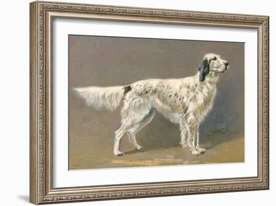 Setter-null-Framed Art Print