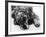 Setter-null-Framed Photographic Print