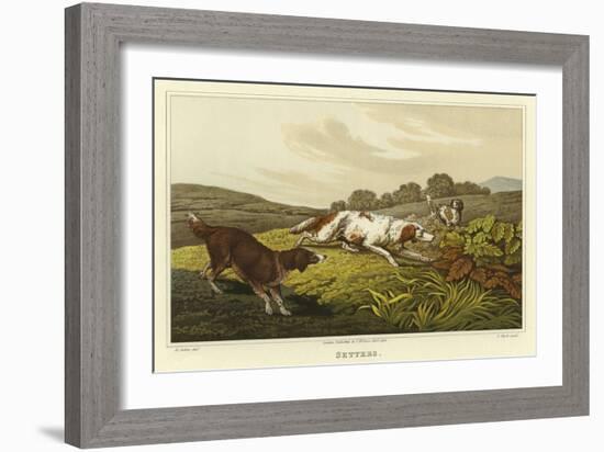 Setters-Henry Thomas Alken-Framed Giclee Print