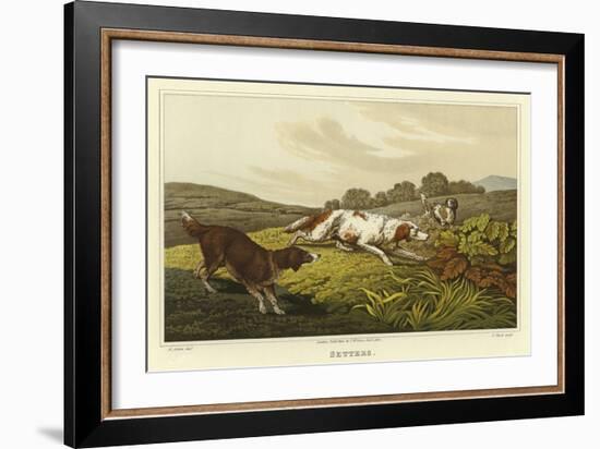 Setters-Henry Thomas Alken-Framed Giclee Print