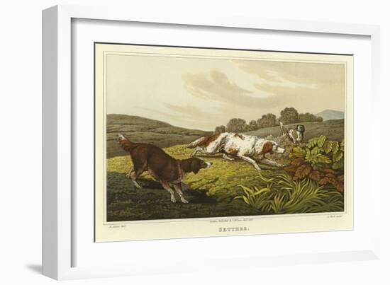 Setters-Henry Thomas Alken-Framed Giclee Print