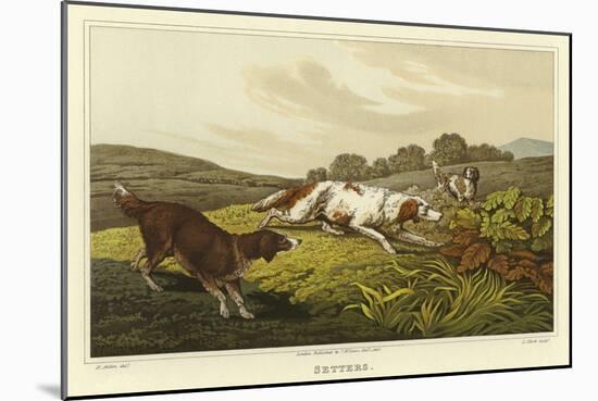 Setters-Henry Thomas Alken-Mounted Giclee Print
