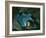 Setting for the Appearance of Astrofiammante, Queen of the Night, from Mozart's 'Magic Flute',…-null-Framed Giclee Print