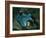 Setting for the Appearance of Astrofiammante, Queen of the Night, from Mozart's 'Magic Flute',…-null-Framed Giclee Print