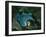 Setting for the Appearance of Astrofiammante, Queen of the Night, from Mozart's 'Magic Flute',…-null-Framed Giclee Print