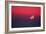 Setting Moon In a Red Sky-Detlev Van Ravenswaay-Framed Photographic Print