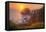 Setting Sun at Trinidad, Northern California Coast-Vincent James-Framed Premier Image Canvas